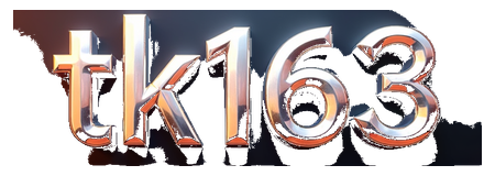 tk163 logo